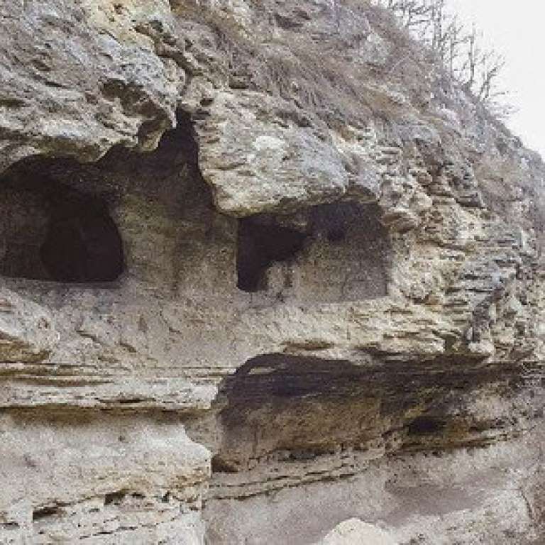 Kalksteine ​​aus dem Eozän von Turnu Roșu - Porcești