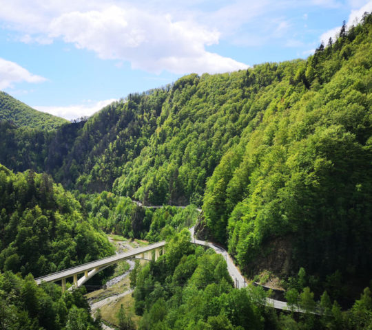 Le pont de Stan Le pont de Stan