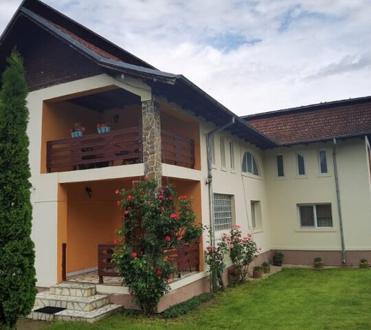 Pensiunea Rustic Argeșean