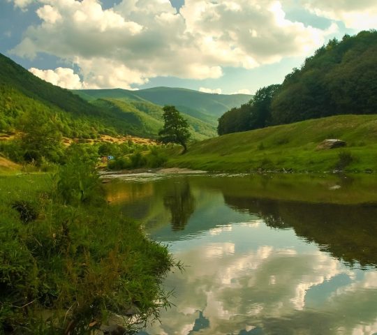 Rezervația Faunistică Arpășel