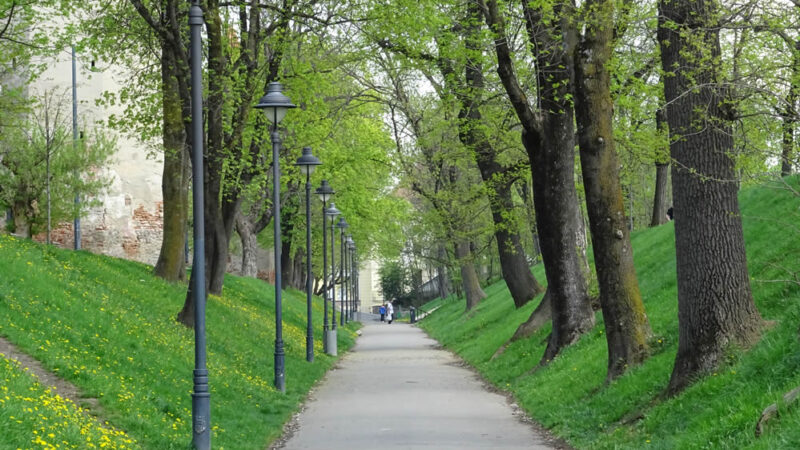 Le Parc de la Cité Sibiu