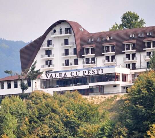 Restaurant Hotel Valea Cu pesti