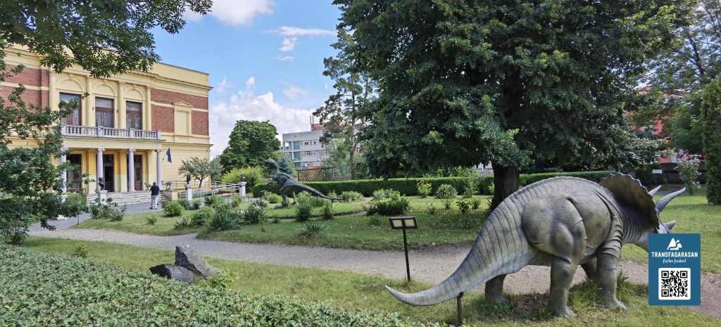 Muzeul de Istorie Naturală din Sibiu 2023
