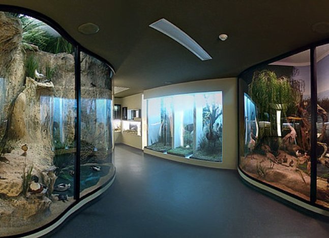 Muzeul de Istorie Naturală din Sibiu